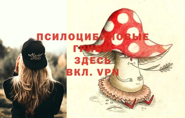 каннабис Дмитриев